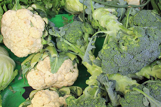 Fastenrezept__Karfiol-Broccoliauflauf_mit_Kr_utern-pixabay_brokkoli_karfiol