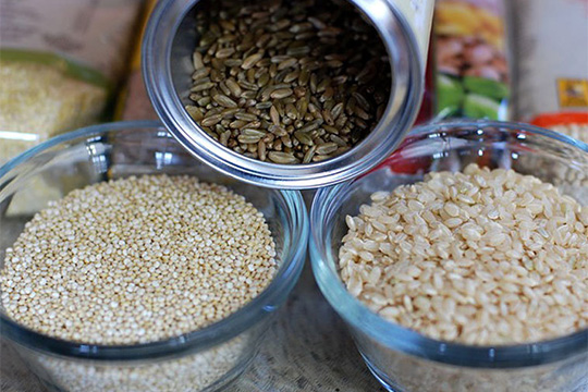 Naturreisb_llchen_in_der_Fastenzeit-pixabay_getreide