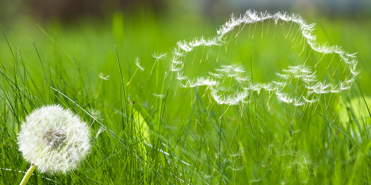 Autoratgeber Frühling