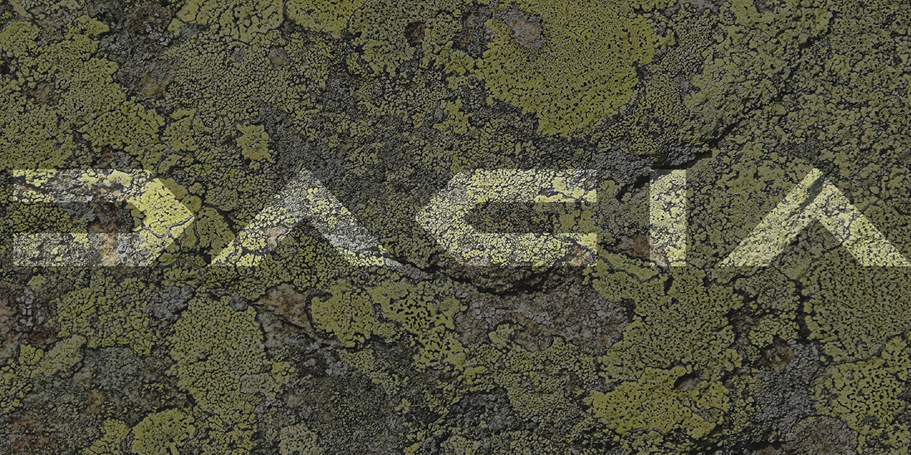 FARBEN UND MATERIALIEN, DIE DACIA VERKÖRPERN