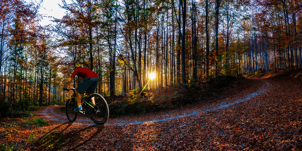 Mit Dacia über Stock und Stein: Tipps für Gravel- und Mountain-Bike-Touren