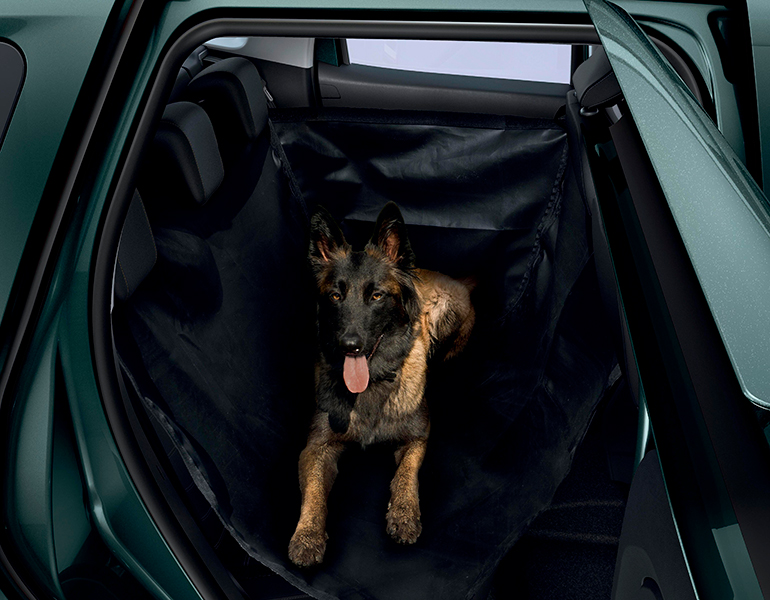 duster-zubehoehr06 Duster Transport