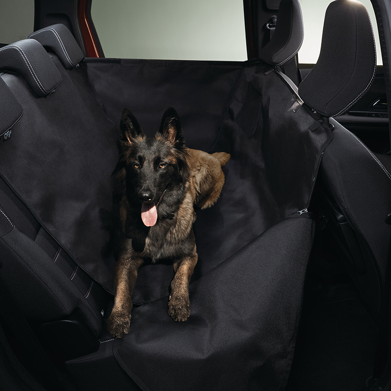 sandero-stepway-zub-05 Dacia Zubehör für alle Fälle: clevere Artikel für den Dacia Sandero Stepway