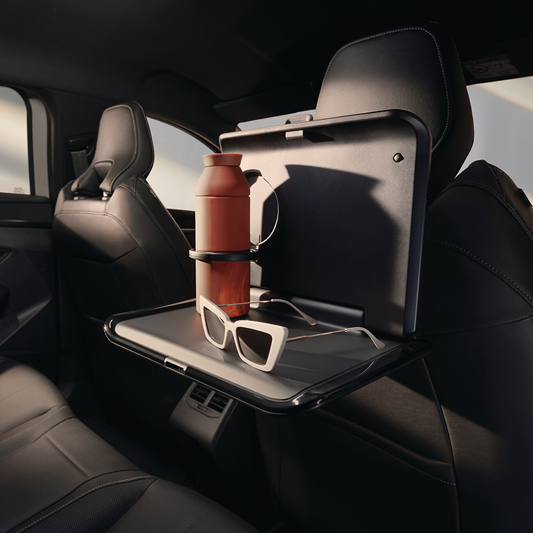 sandero-stepway-zub-11