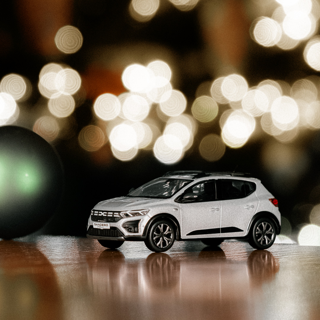 dacia1 Last-Minute-DIY Geschenke