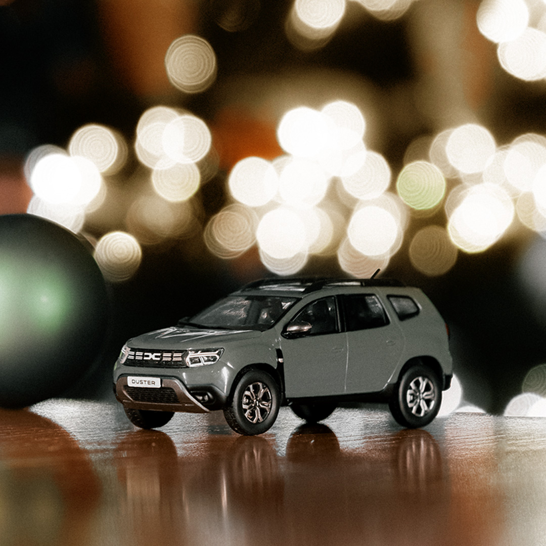dacia2 Last-Minute-DIY Geschenke