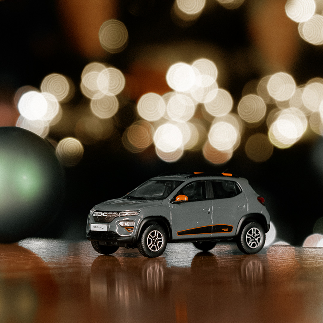 dacia3 Last-Minute-DIY Geschenke