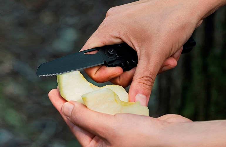 dacia-eshop4 Dacia eShop