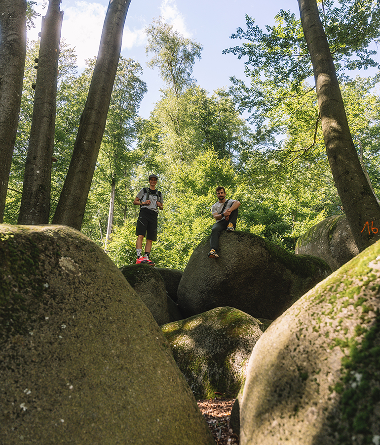 Community-Hike-#2-14 Dacia Community Challenge