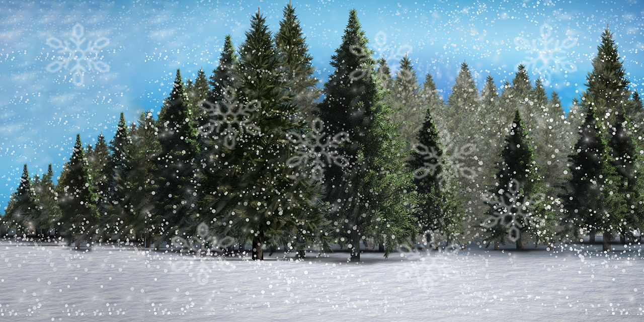 Adventskalender 2024