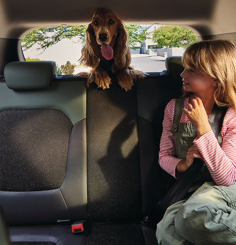 dacia-spring-bbg-ph2-overview-008-2